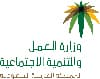 عميل 14
